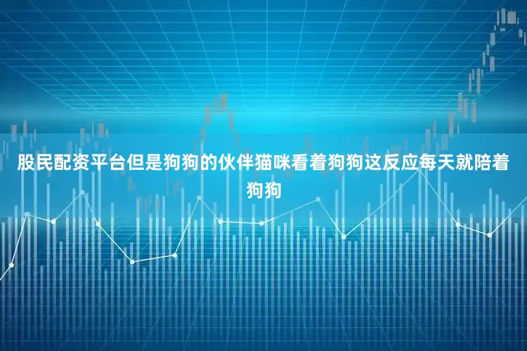股民配资平台但是狗狗的伙伴猫咪看着狗狗这反应每天就陪着狗狗