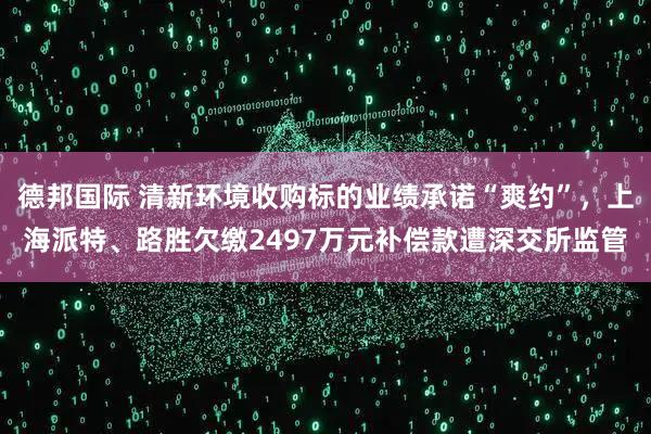 德邦国际 清新环境收购标的业绩承诺“爽约”，上海派特、路胜欠缴2497万元补偿款遭深交所监管