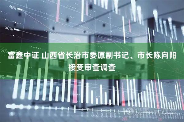富鑫中证 山西省长治市委原副书记、市长陈向阳接受审查调查