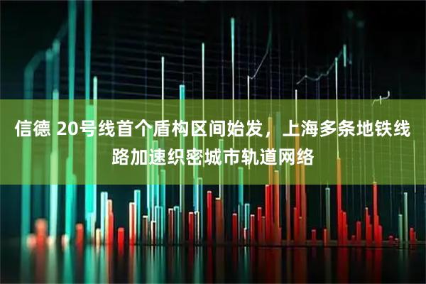 信德 20号线首个盾构区间始发，上海多条地铁线路加速织密城市轨道网络